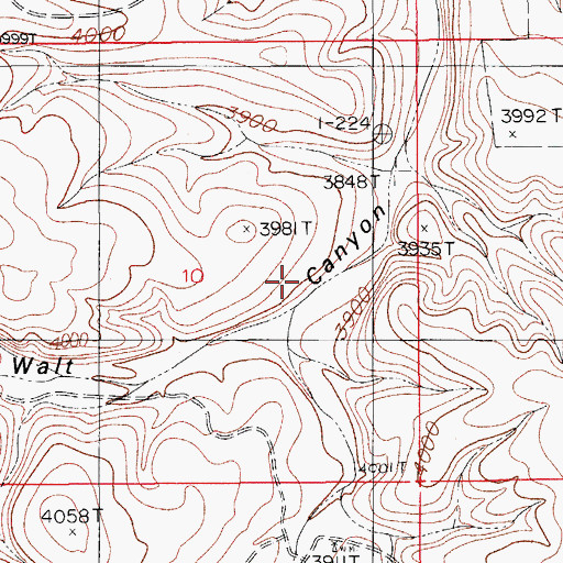 Topographic Map of Toms Canyon, NM