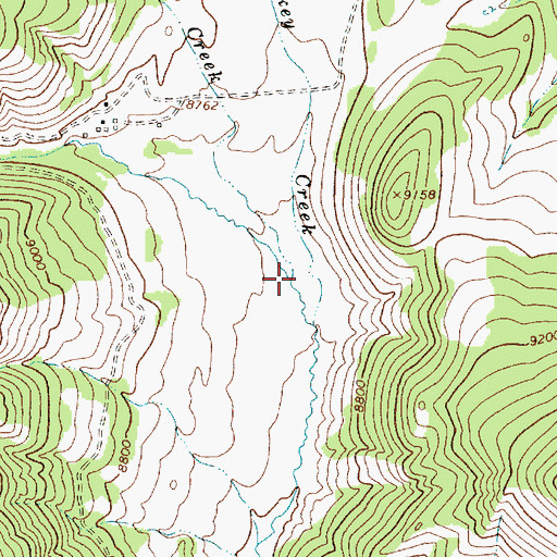 Topographic Map of Turner Creek, NM