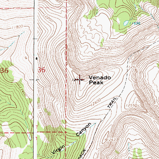 Topographic Map of Venado Peak, NM