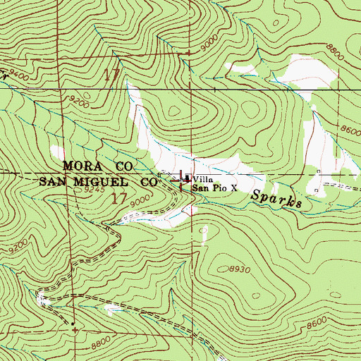 Topographic Map of Villa San Pio X, NM