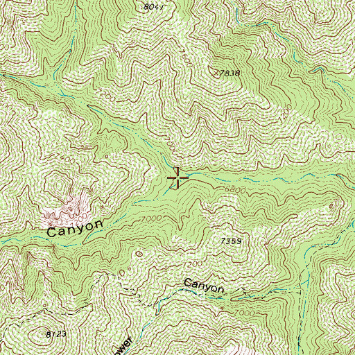 Topographic Map of Water Canyon, NM