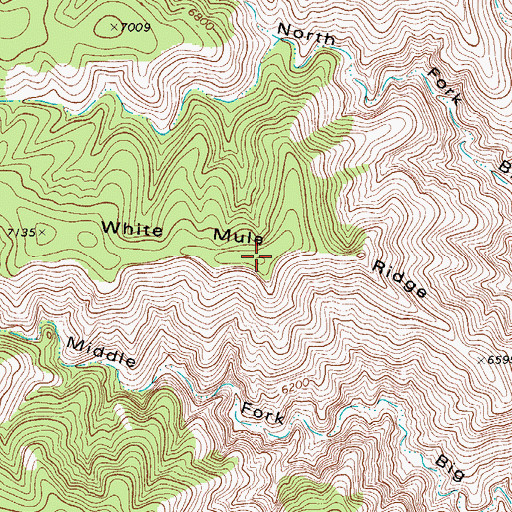 Topographic Map of White Mule Ridge, NM