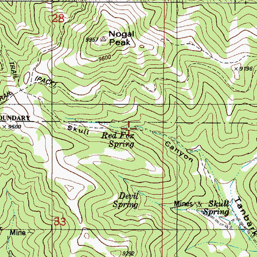 Topographic Map of Red Fox Spring, NM