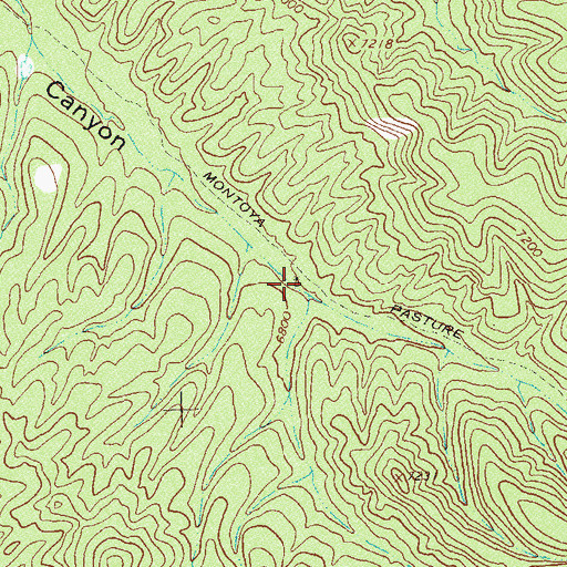 Topographic Map of Tom Moore Well, NM