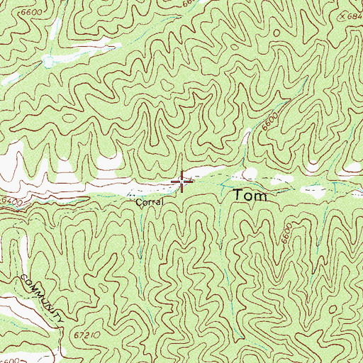 Topographic Map of Middle Tom Moore, NM