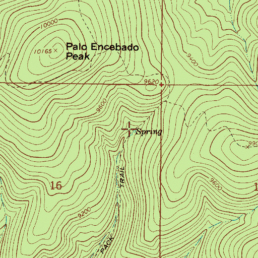 Topographic Map of Capulin Spring, NM