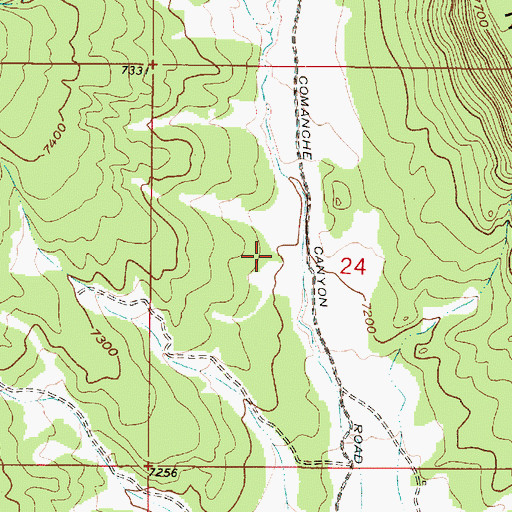 Topographic Map of Comanche Well, NM