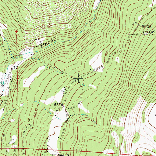 Topographic Map of Geronimo, NM