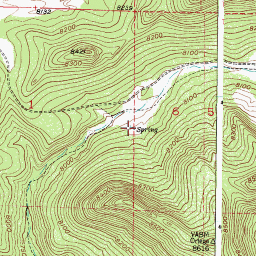 Topographic Map of Jacal De Palo Spring, NM