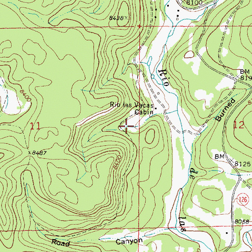 Topographic Map of Vacus Spring, NM