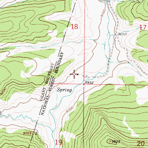 Topographic Map of Bone Ranch, NM