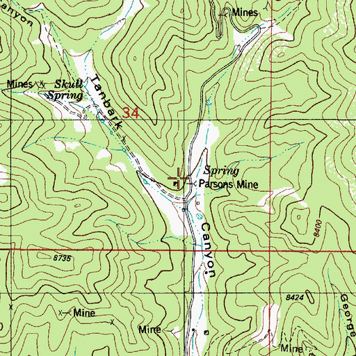 Topographic Map of Hopeful Mine, NM