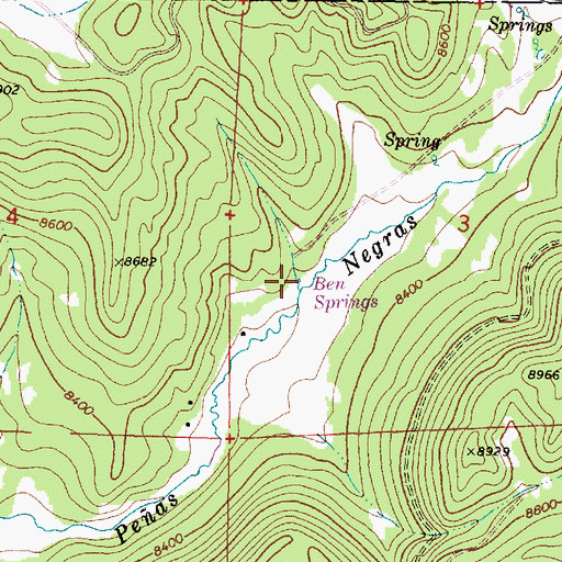 Topographic Map of Ben Springs, NM