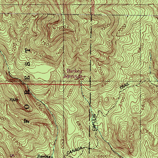 Topographic Map of Turkey Springs, NM
