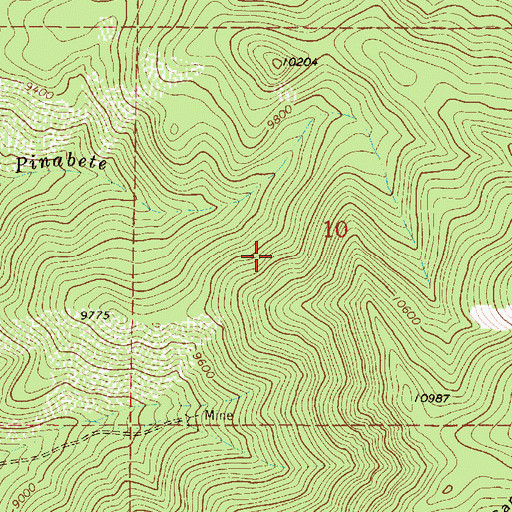 Topographic Map of Sawmill Canyon Prospect, NM