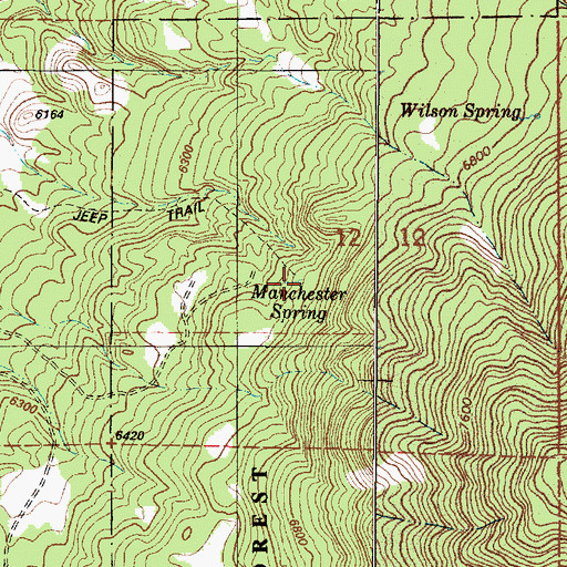 Topographic Map of Manchester (historical), NM