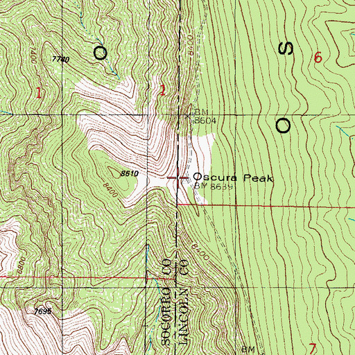 Topographic Map of Oscura Peak, NM