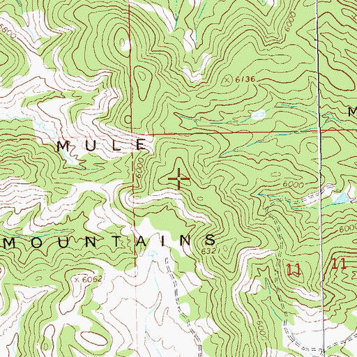 Topographic Map of Mule Mountains, NM