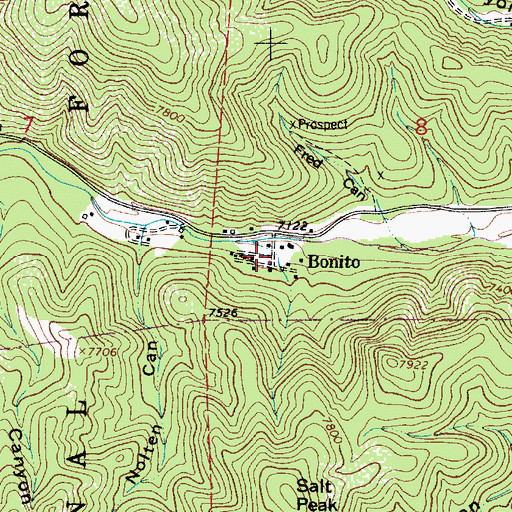 Topographic Map of Bonito, NM