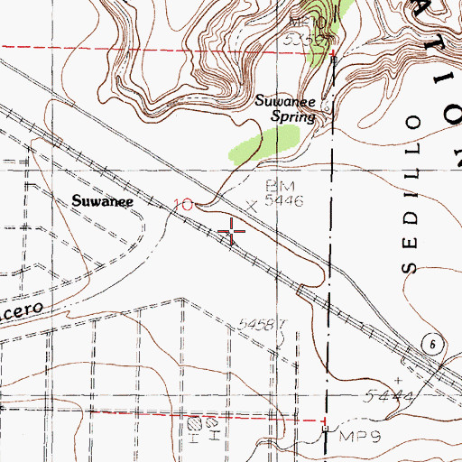 Topographic Map of Suwanee, NM