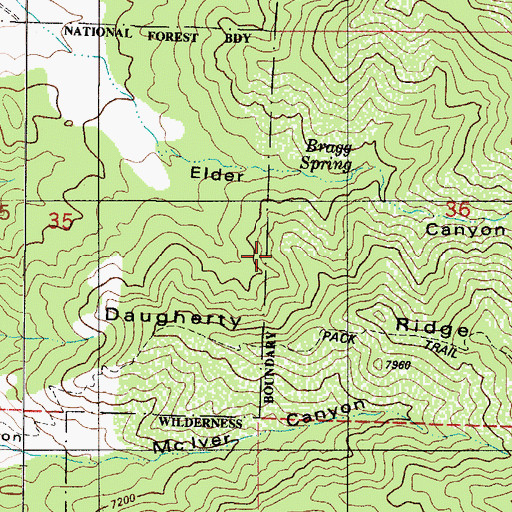 Topographic Map of Daugherty Spring, NM