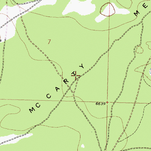 Topographic Map of McCarty Mesa, NM