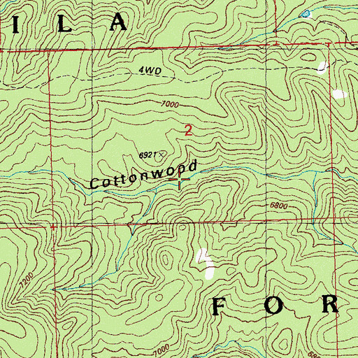 Topographic Map of Upper Cottonwood Spring, NM