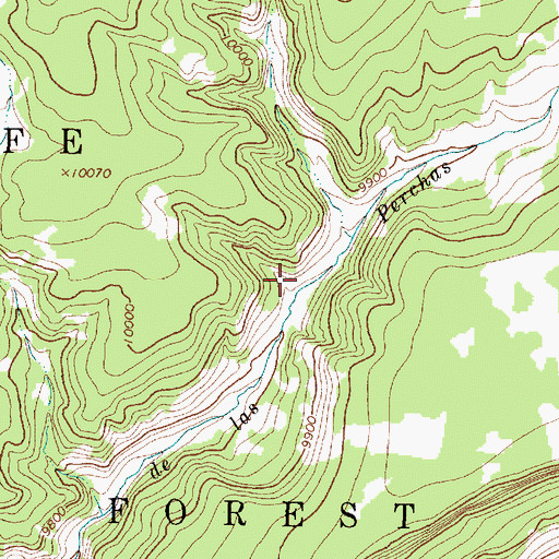 Topographic Map of Perchas Trail, NM