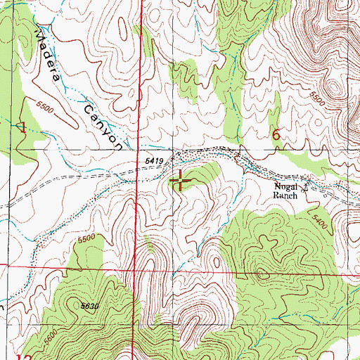 Topographic Map of Madera Canyon, NM