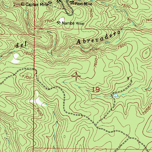 Topographic Map of White Mule Mine, NM