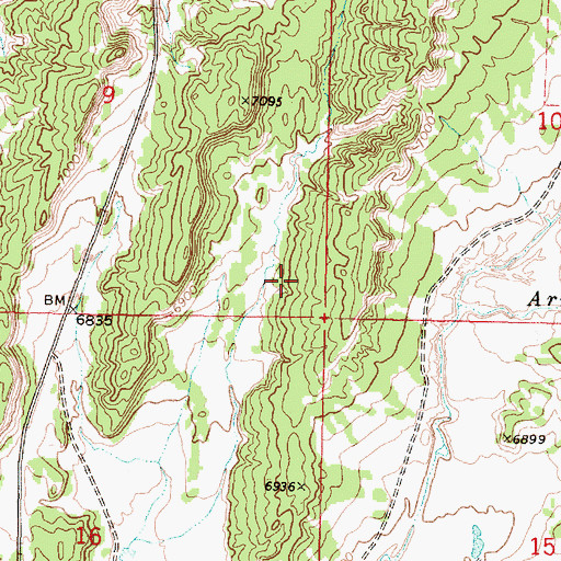 Topographic Map of Warm Springs Mine, NM
