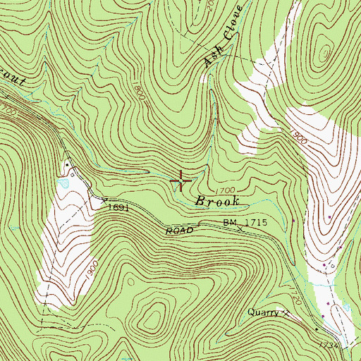 Topographic Map of Ash Clove Brook, NY
