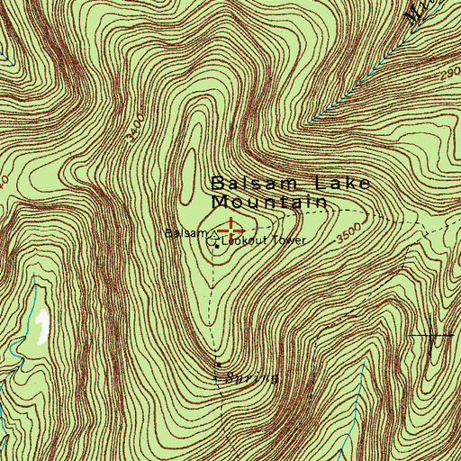 Topographic Map of Balsam Lake Mountain, NY