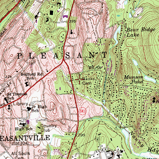 Topographic Map of Banks Cemetery, NY
