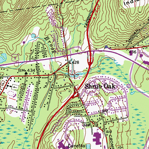 Topographic Map of Barger Brook, NY