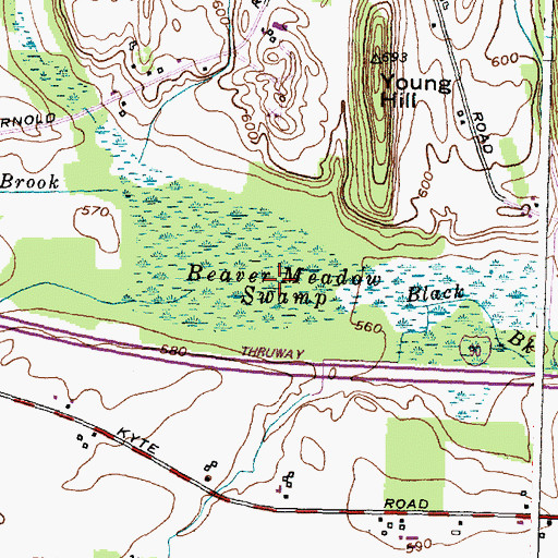 Topographic Map of Beaver Meadow Swamp, NY