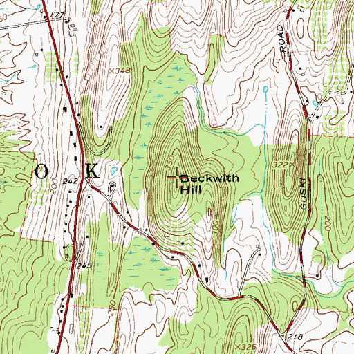 Topographic Map of Beckwith Hill, NY