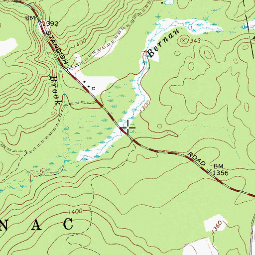 Topographic Map of Bernau Brook, NY