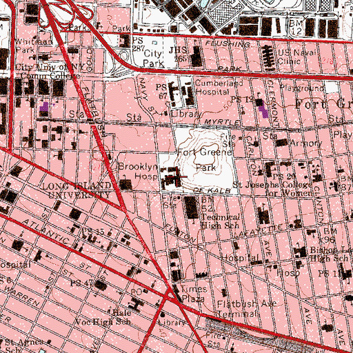Topographic Map of The Brooklyn Hospital Center, NY
