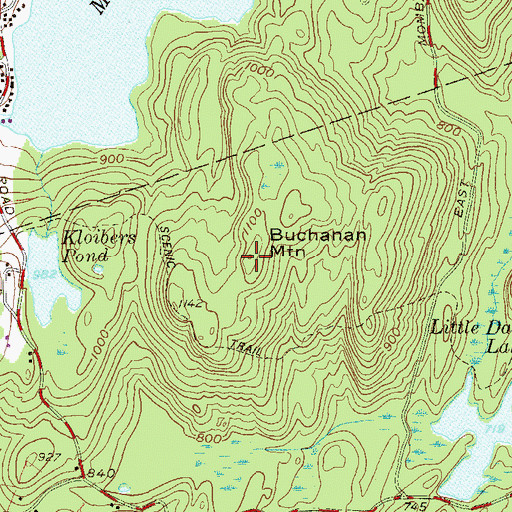 Topographic Map of Buchanan Mountain, NY