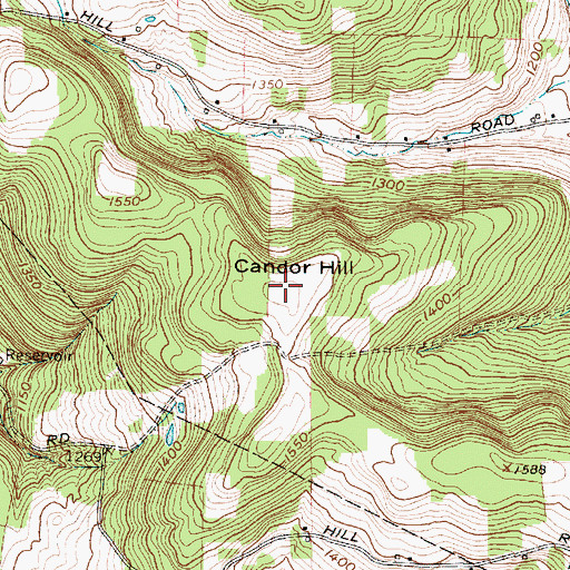 Topographic Map of Candor Hill, NY