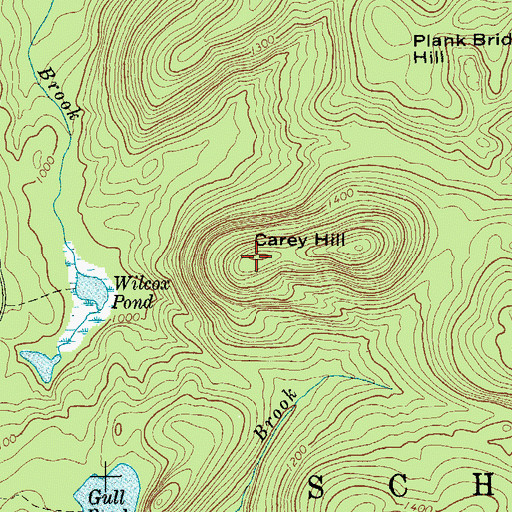 Topographic Map of Carey Hill, NY