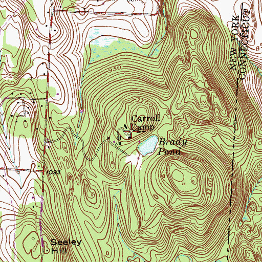 Topographic Map of Carroll Camp, NY