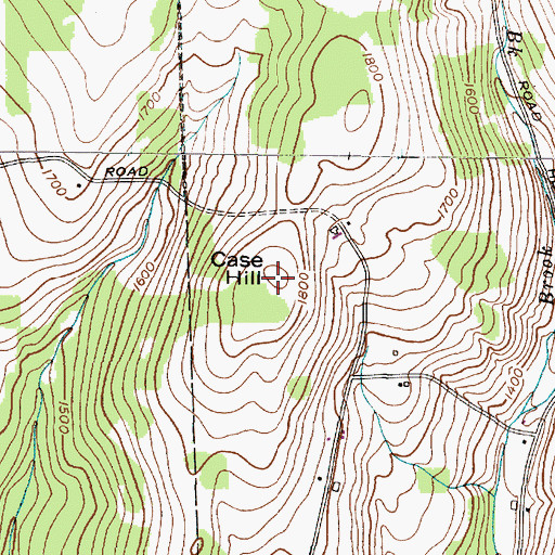 Topographic Map of Case Hill, NY