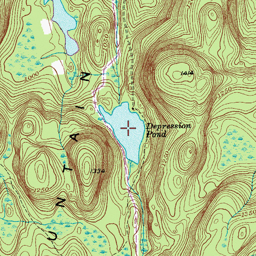 Topographic Map of Depression Pond, NY