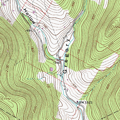 Topographic Map of Fuller Hollow, NY