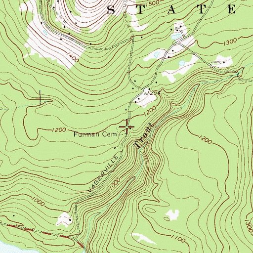 Topographic Map of Furman Cemetery, NY