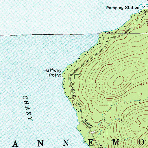 Topographic Map of Halfway Point, NY
