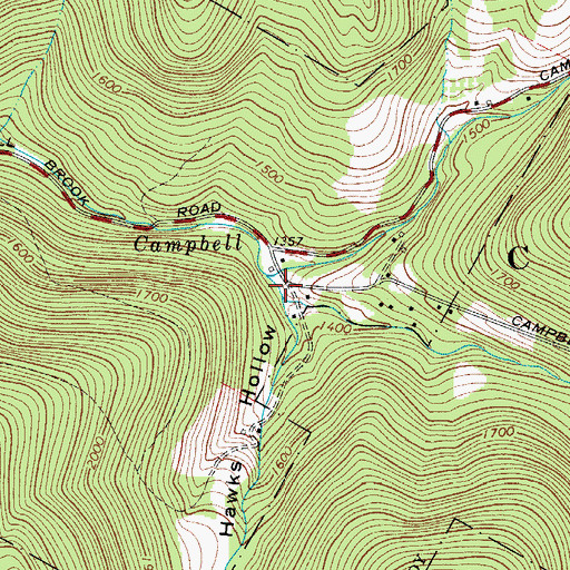 Topographic Map of Hawks Hollow, NY