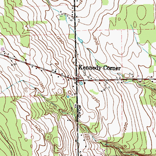 Topographic Map of Kennedy Corner, NY